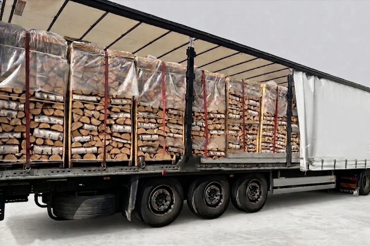 LKW-Ladung Brennholz – Buche – 30/33 cm – kammergetrocknet – 2 RM Paletten